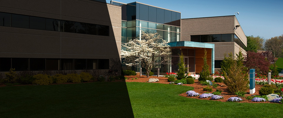 Castalian Springs Landscapers