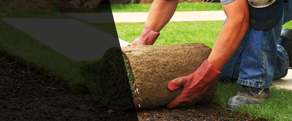 Castalian Springs Landscapers